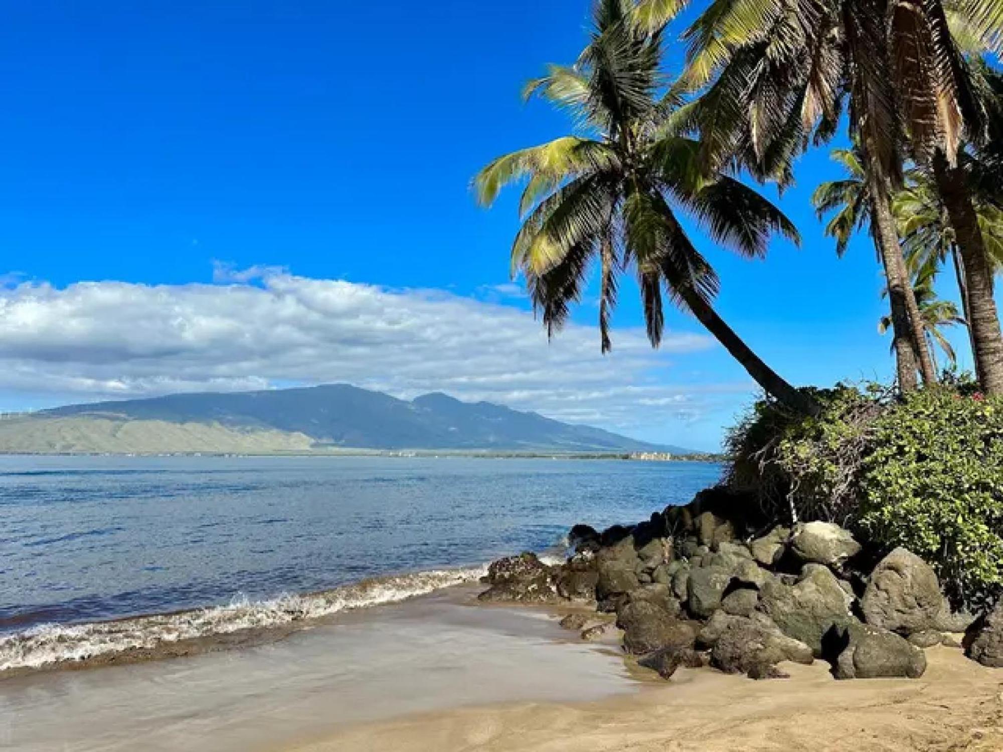 Cozy Maui Studio Retreat Just Steps To The Sand! Kihei Exteriör bild